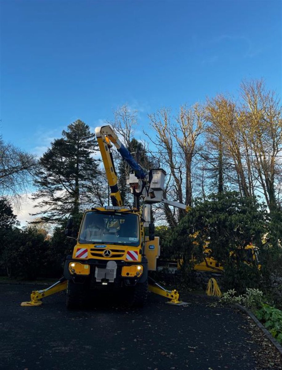 ESB Networks tweet media