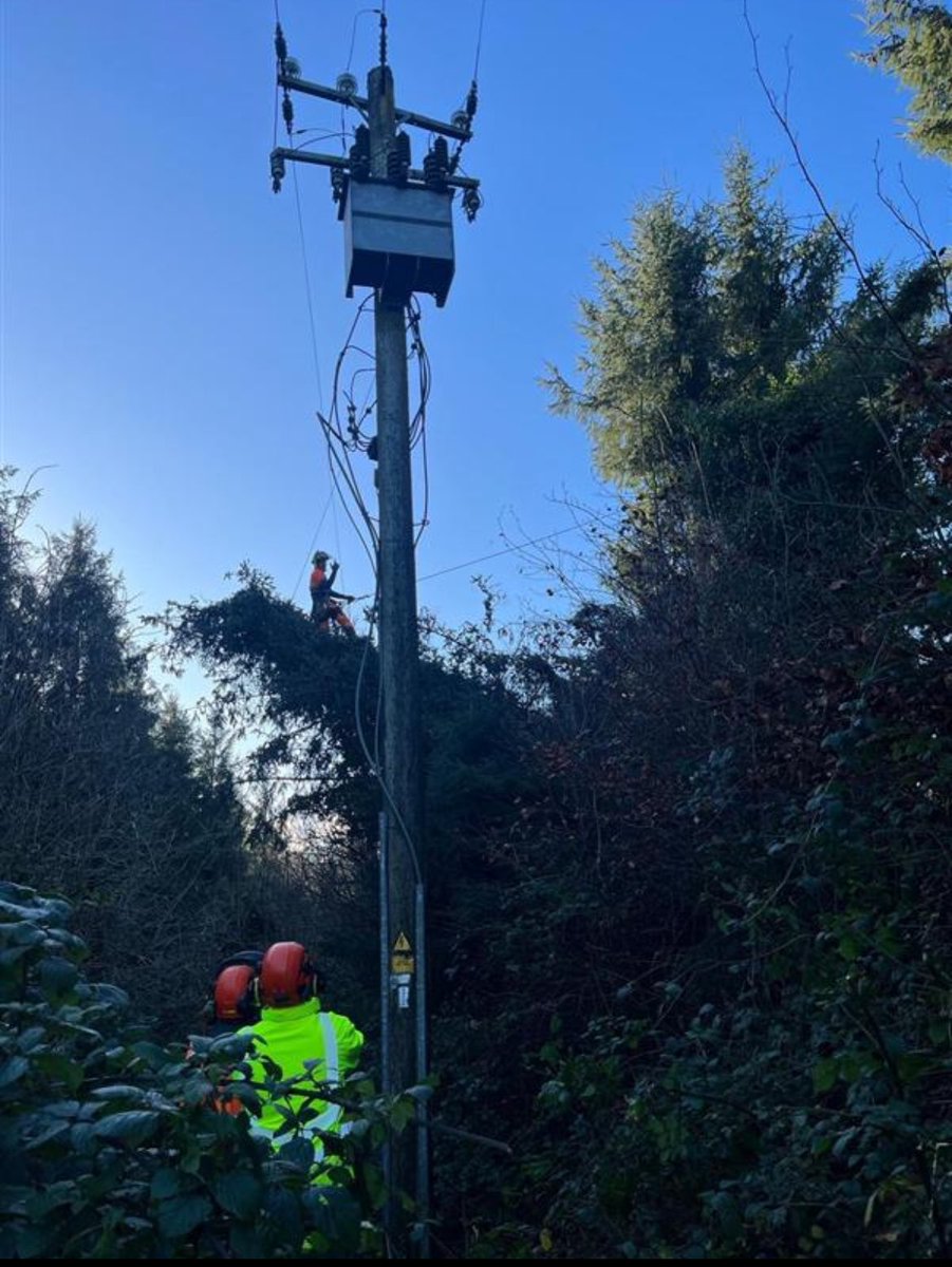 ESB Networks tweet media