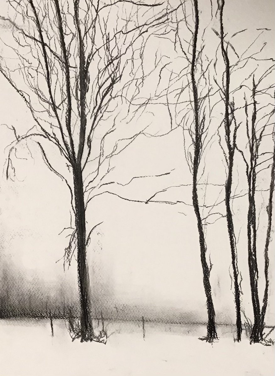 Charcoal drawings of winter trees