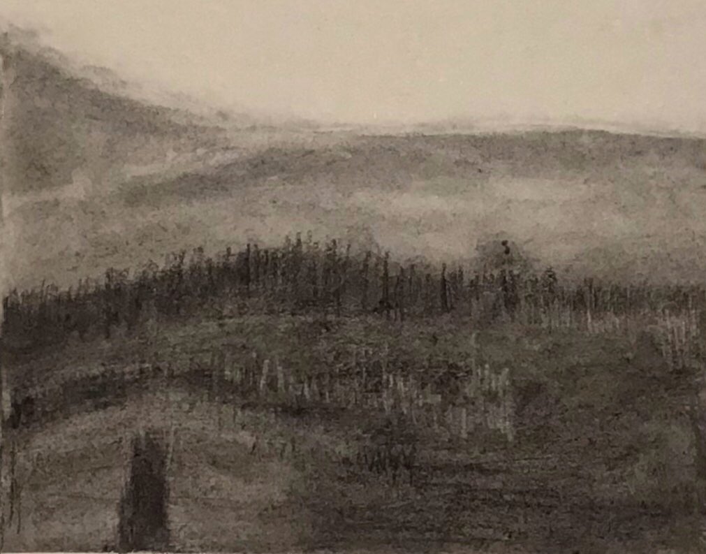 akprintmaker's tweet photo. Charcoal drawings of winter trees https://t.co/lu7euzBcvo