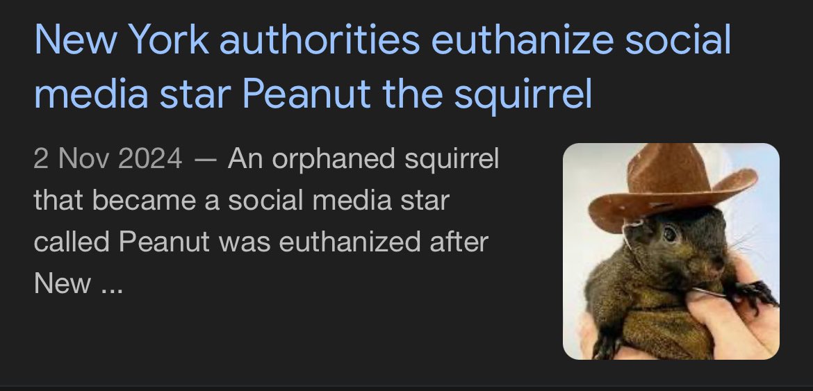 NFTmusicShop's tweet photo. RIP $PNUT 

They took the piss really. 
🐿️ 
Gone but not forgotten. CT and CZ will see to that. https://t.co/fs6WGu3kEL