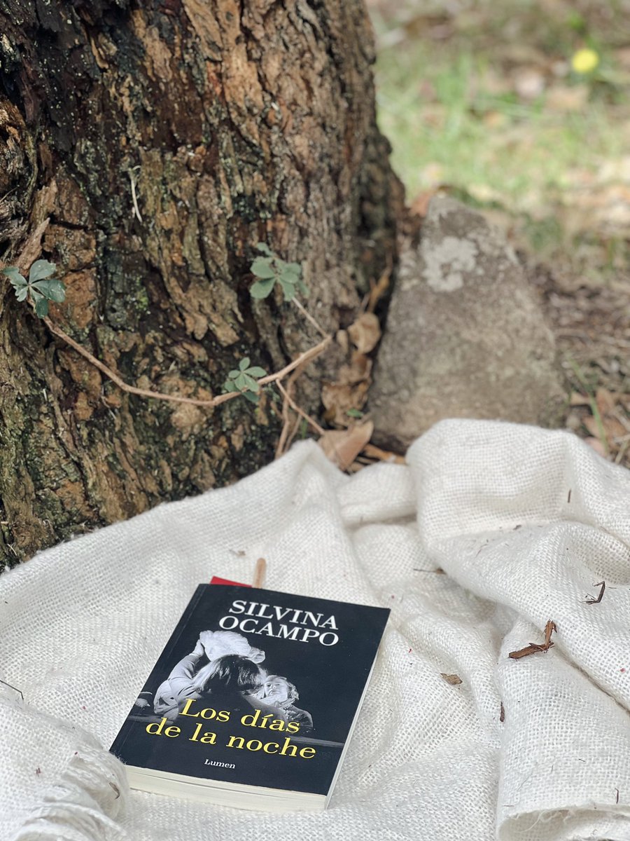 clemensalada's tweet photo. En mi rincón habitual Jane Austen coded #ConElla https://t.co/MkUOwUtQjM