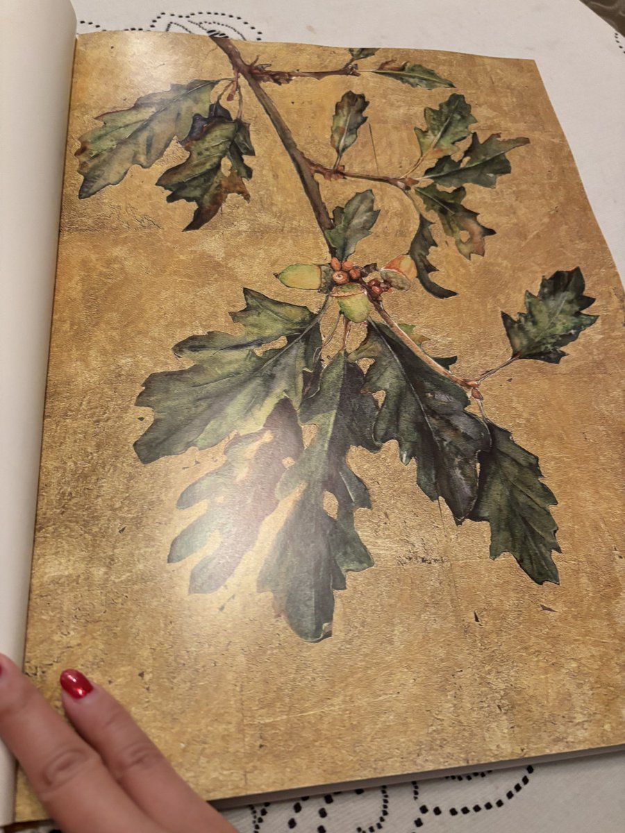 Came across this beautiful 🪄 book today. 🕊️

Did anyone else know that the Oxford junior dictionary has been taking out words about Nature like “acorn”, “ivy” 🌳 to make room for “virtual”, “blog”, and such because children are no longer using them enough? That is so heart