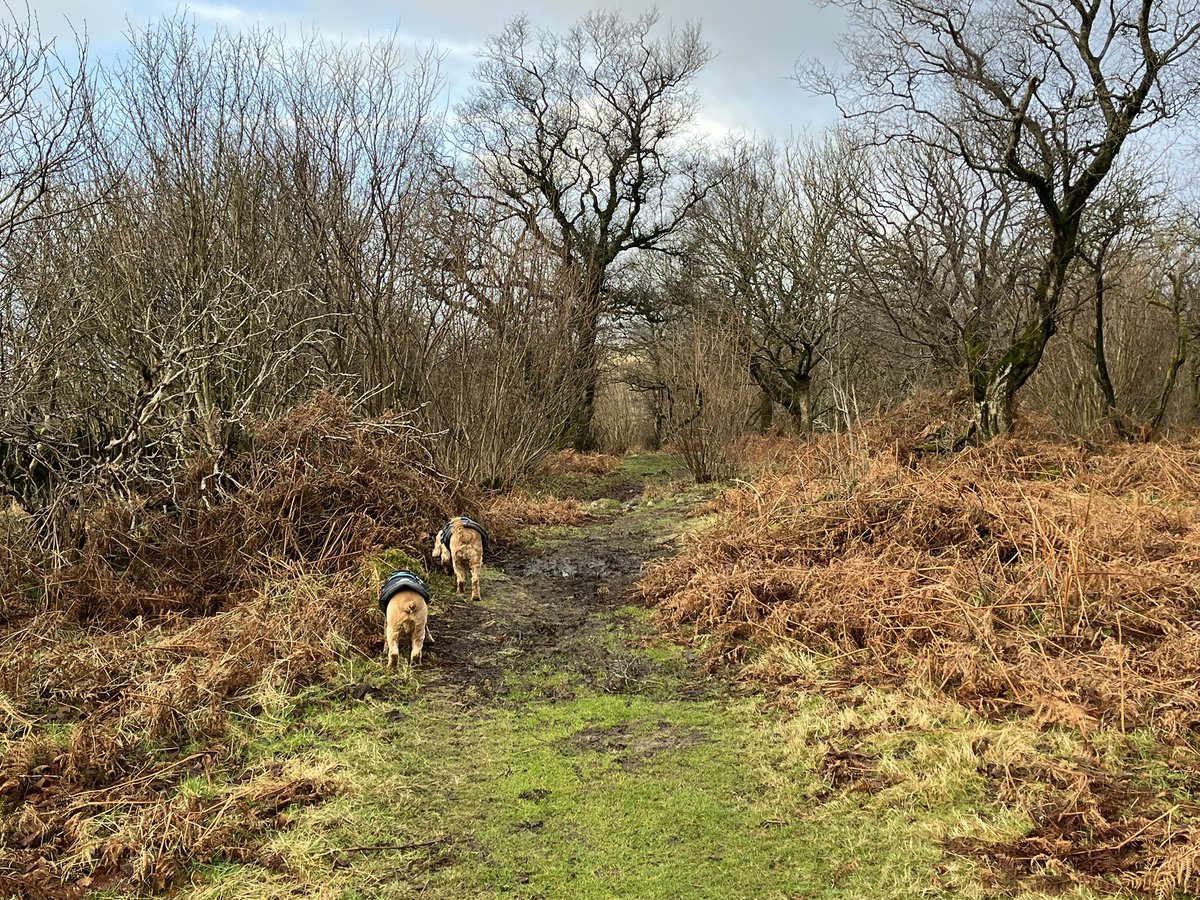 BrokenLilDolly's tweet photo. A four mile circular ๐พ๐พ walk this morning ๐ฅถ
#Austwick
#Feizor
#YorkshireDales https://t.co/SFnnRSzUxr