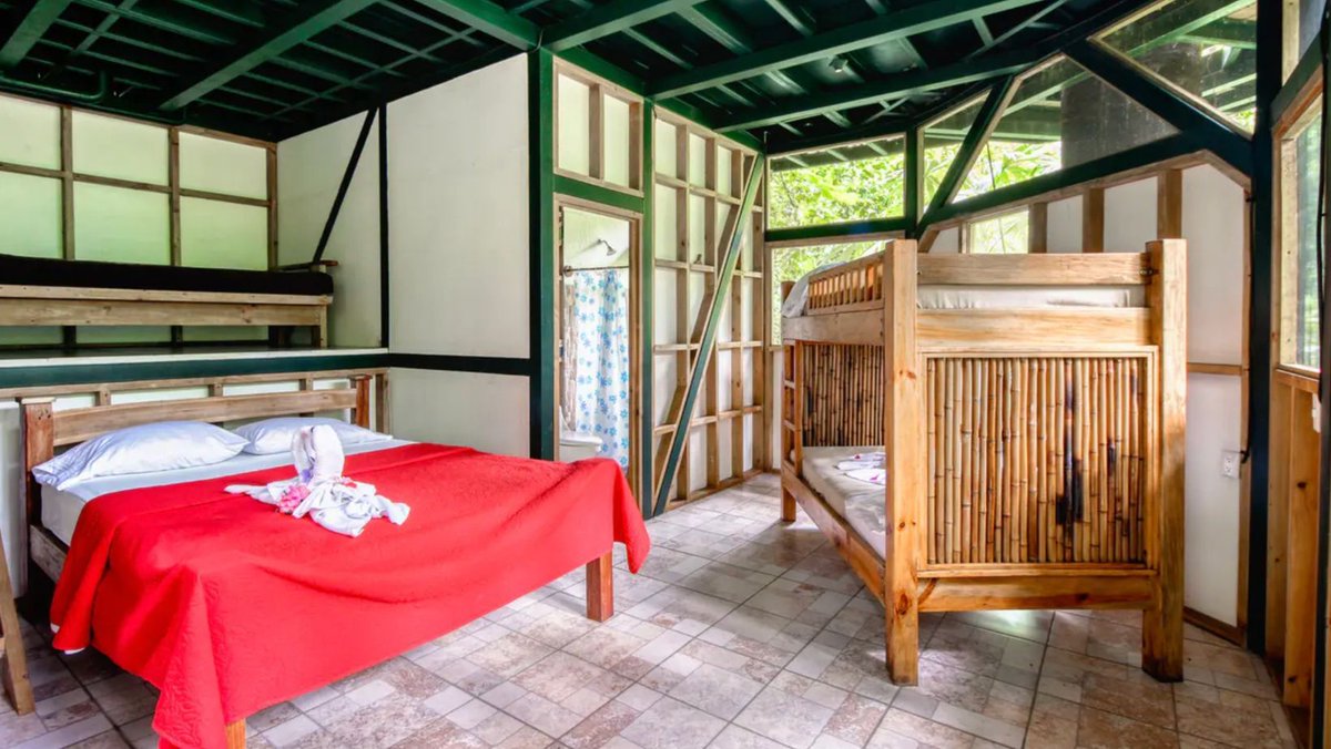 OffGridDestin's tweet photo. 🌿 Discover León Jungle House! 🇨🇷
📍 In Costa Rica's rainforest, this 3-level treehouse blends comfort &amp; nature. 🌳

✨ Features:
🛋️ Spacious living area
🛏️ Private bedroom w/views
🌳 Expansive decks

💲 $99,000
➡️ https://t.co/CJjm6znzjV

#OffGridLiving #TreehouseLife #CostaRica https://t.co/NkGxi8uQfp