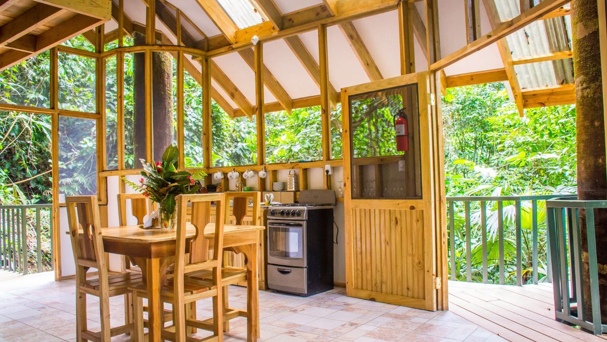 OffGridDestin's tweet photo. 🌿 Discover León Jungle House! 🇨🇷
📍 In Costa Rica's rainforest, this 3-level treehouse blends comfort &amp; nature. 🌳

✨ Features:
🛋️ Spacious living area
🛏️ Private bedroom w/views
🌳 Expansive decks

💲 $99,000
➡️ https://t.co/CJjm6znzjV

#OffGridLiving #TreehouseLife #CostaRica https://t.co/NkGxi8uQfp