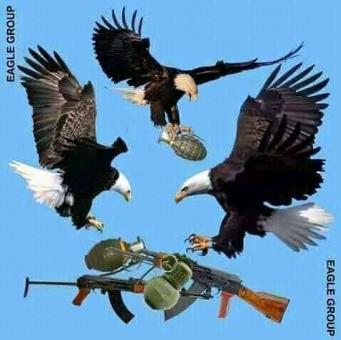 AWoldetensa's tweet photo. 🍀#Ayyar_Xeenaatti Waajjirri poolisii tokko #Risaan haleelame!
#Risaa is back in a new form!💪
I U O'f
@booreelammii1 @QajelaSira75335 @JBaayisaa @JaalGamtaa @goobaa_tabor @GamachisNa74222 https://t.co/eyzldwQAvq