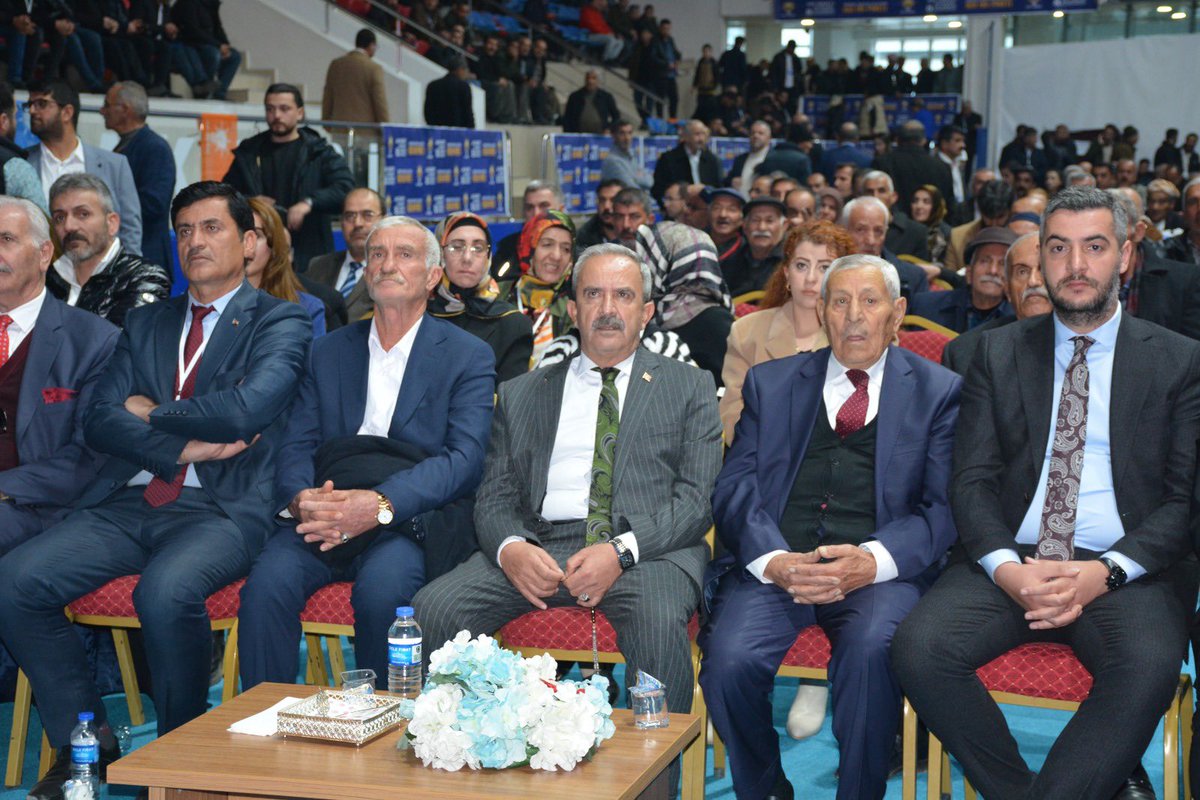 Dilşad PİRUZBEYOĞLU tweet media