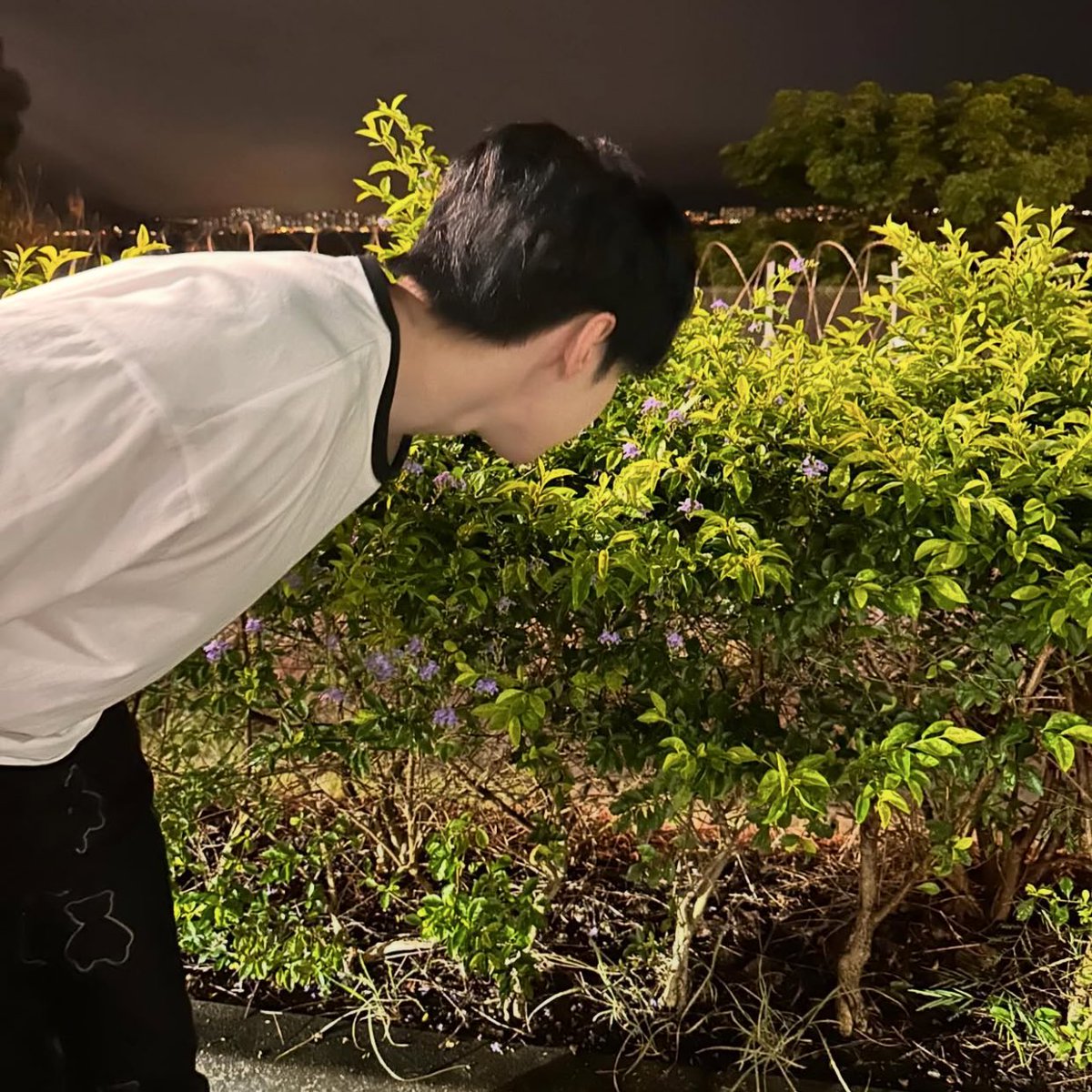 goodcrew__'s tweet photo. ⠀
⠀ ⠀⠀ ⠀ ⠀ ⠀⠀ ⠀#𝗂𝗇𝗍𝗋𝗂𝗇𝗂𝗀𝗋𝖺𝗆
⠀ ⠀⠀ ⠀thisisharvy upload photo 𐂂
⠀ ⠀⠀ ⠀: 🌳🌻
⠀ ⠀
⠀ ⠀⠀ ⠀2 𝐦𝐢𝐧𝐮𝐭𝐞𝐬 𝐚𝐠𝐨
⠀ ⠀⠀ ⠀⠀ ⠀⠀ ⠀#trinityverse
⠀ ⠀
⠀ ⠀ https://t.co/rPwaPmVGdy