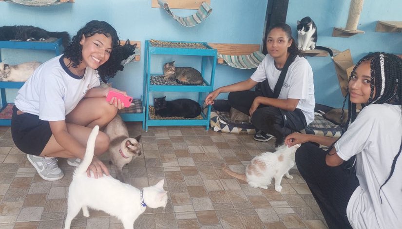+ de 150kg de materiais recicláveis arrecadados! ♻️🐾🐱

O Grêmio Estudantil “Juntos Podemos Mais” da EMEF Tereza Setuko Koshimae Hatori organizou uma campanha solidária pra ajudar animais abandonados. A arrecadação de tampinhas e lacres recicláveis gerou ração, medicação e