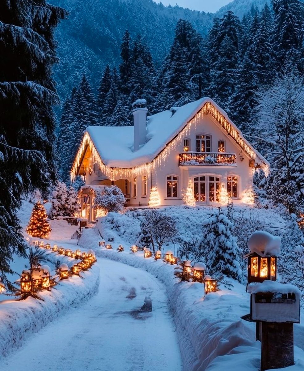 The  beauty of Christmas season 🎄🌨️⛄️