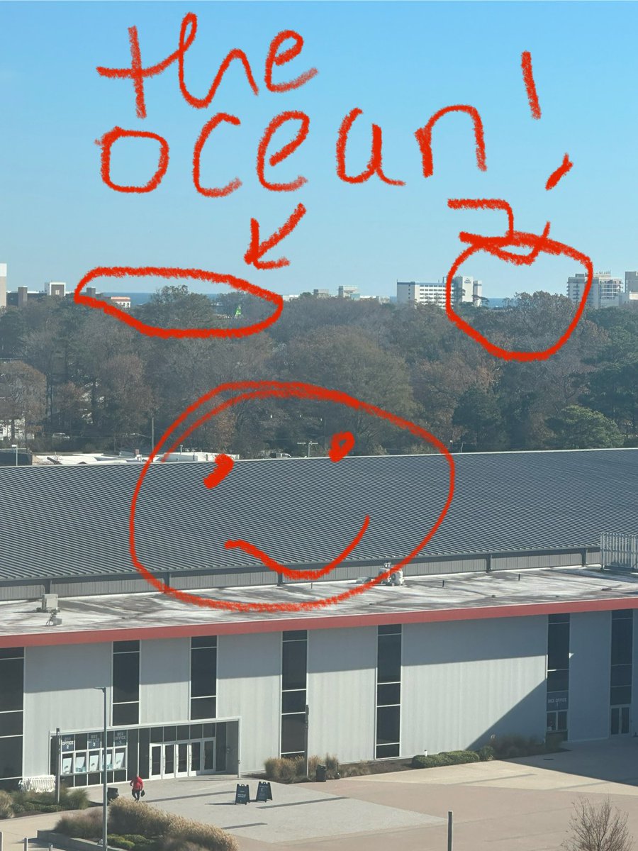 Lindsey Dewey tweet media