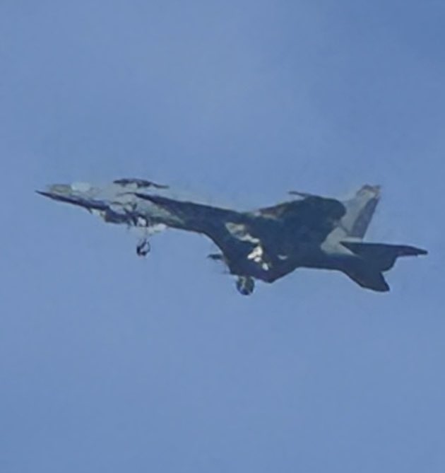 Lindsey Dewey tweet media