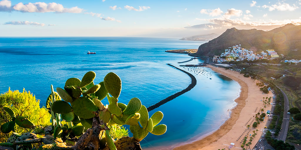 Spain_in_CH's tweet photo. Escape winter with a trip to the #CanaryIslands! ☀️🌴 🌊
Enjoy mild weather, beautiful beaches, and outdoor adventures like hiking or relaxing by the sea. 😄 Perfect for a warm winter getaway!
https://t.co/OnjGoA5vIJ 👈
#VisitSpain #SpainCoast #WinterInSpain @ven_a_canarias https://t.co/yL1HnALpEF
