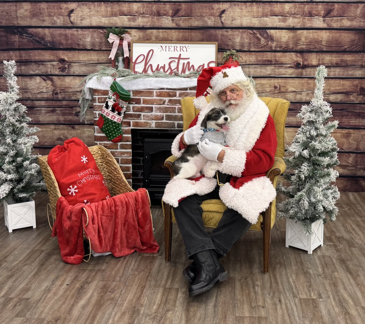 psp9024's tweet photo. Come take a picture with our Christmas 🎅 Backdrop! It will be up through Christmas! #ChristmasPhotos #PspAlbany https://t.co/lb2QxgwZKH