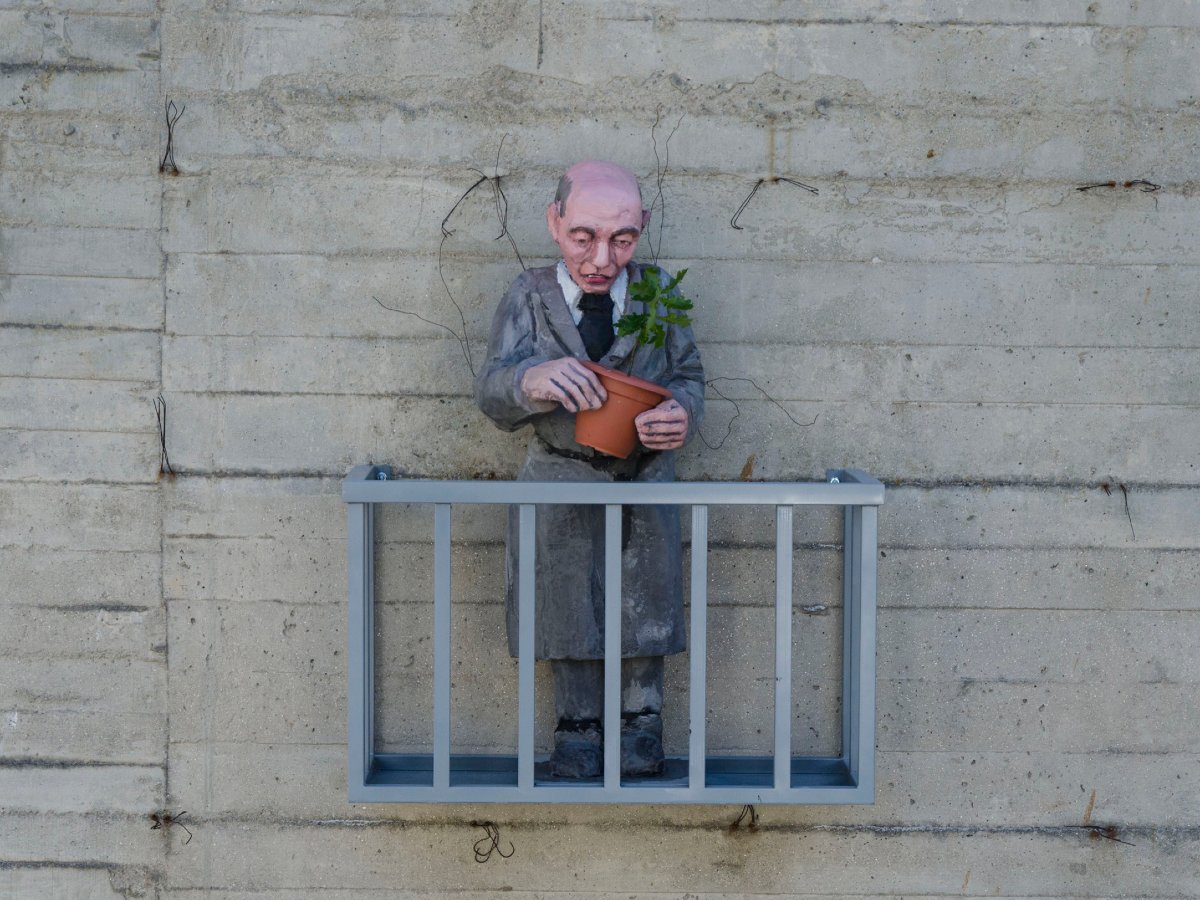 Rexenera Fest tweet media