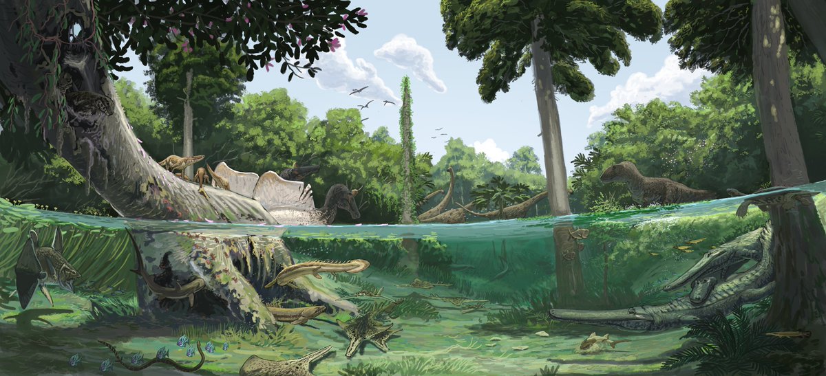 Result from the Bahariya Formation #paleostream!  This piece felt a lot like coming home since my first ever large commission was about reconstructing the animals of Bahariya and Kem Kem.