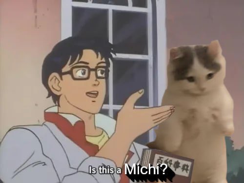 is this a…cat?