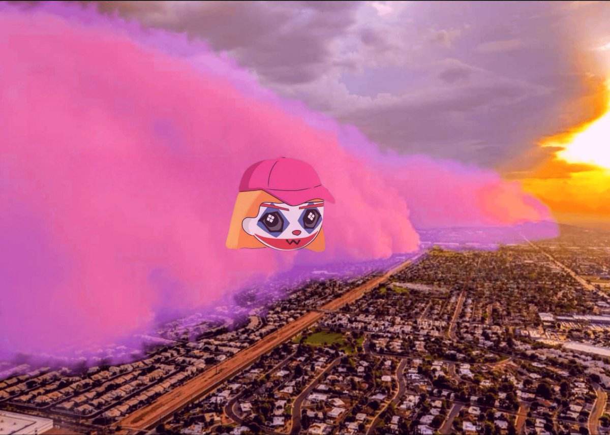 RETARDIA (@retardia_solana) on Twitter photo 