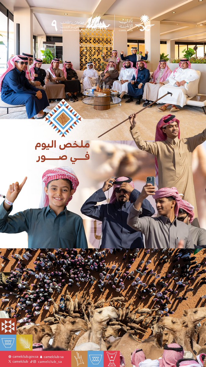 CamelClub's tweet photo. 📸|اليوم الثامن
 أجواء اليوم من #مهرجان_الملك_عبدالعزيز_للإبل9  🎊🐪

#نادي_الإبل | #عام_الإبل_2024  🇸🇦✨ https://t.co/LL0xvrCVEZ