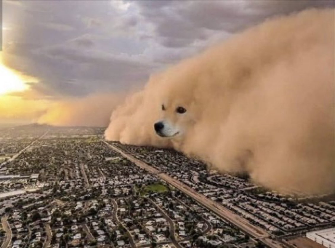 YazanXBT's tweet photo. $DOGE to $2

$PEPE to $1 https://t.co/Badxh94SjS