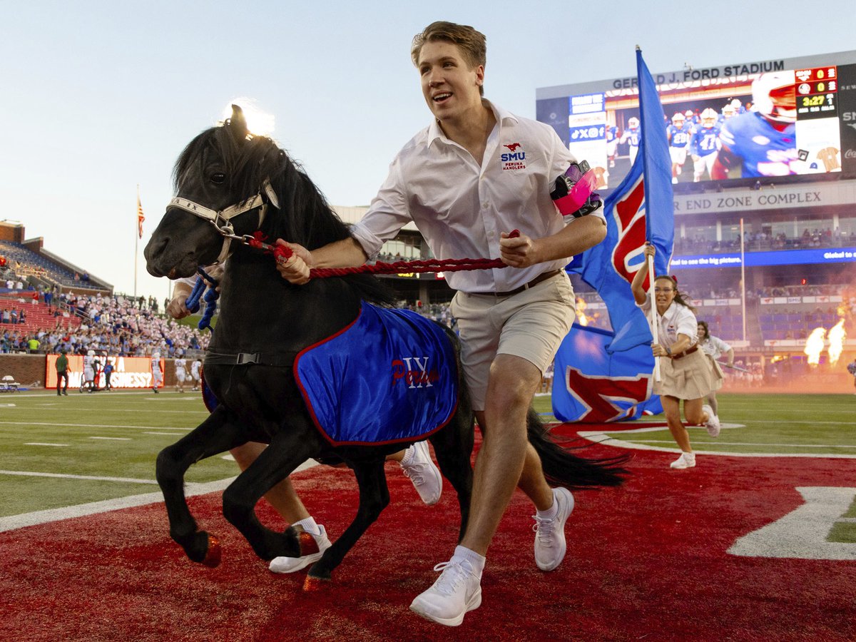 Playoff Pony. #PonyUp