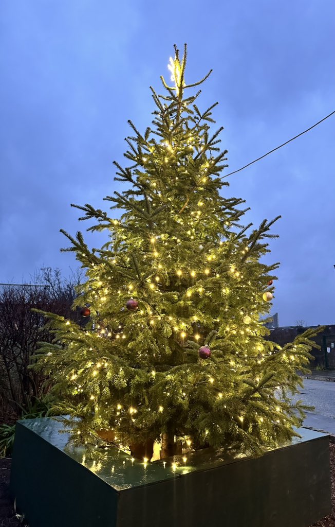 Kim Nagpal tweet media