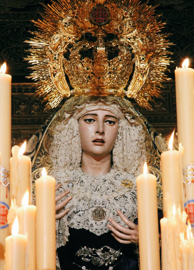 Dani 🚦 tweet media