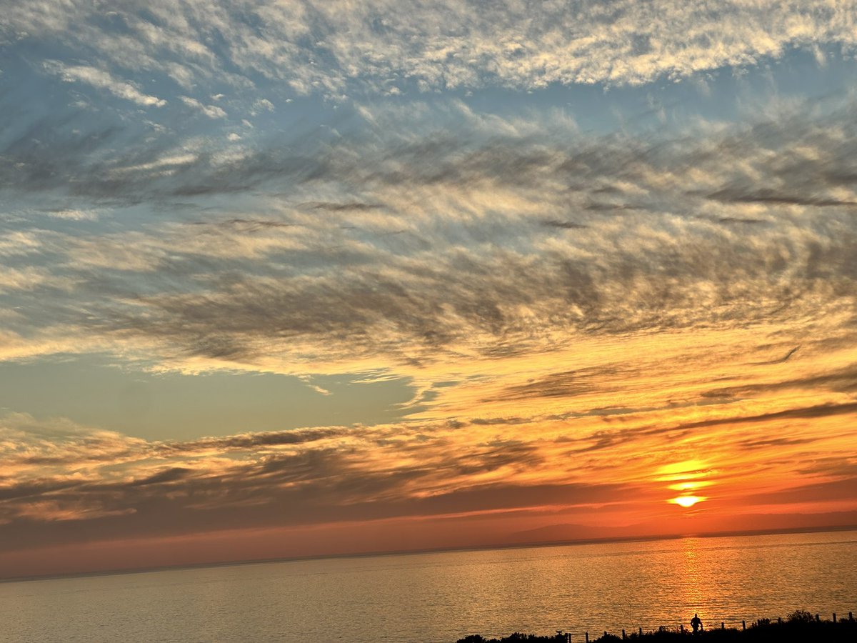 essamiskander's tweet photo. The sun sinks into the ocean, painting Crystal Cove with its final, golden goodbye. 

#CrystalCove #SunsetMagic #GoldenHour #OceanBeauty #DramaticSky #NatureLovers #PeacefulMoments #BeachVibes #CaliforniaDreaming https://t.co/Ul0rEl15PH