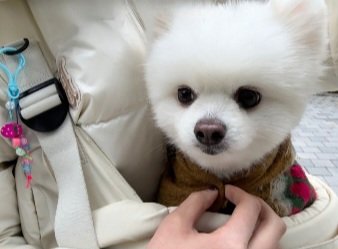 ( 𐀶 ) .. 가장 예쁜 꽃잎, 𝘏͟𝘦͟𝘢͟𝘳͟𝘵͟𝘺! ᐟ｡୧ tweet media