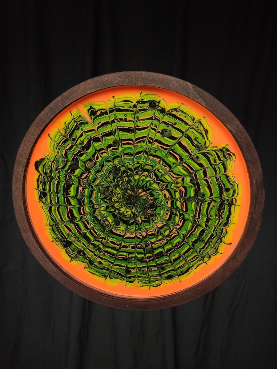 killerparrot6's tweet image. 🇺🇲 GIVEAWAY 🚨

Two ways to win!
Tray 1 winner picked from Likes!
Tray 2 picked from Shares!

Winners will be chosen this coming Saturday 12/14. Odds should be high considering my low interactions :) Only ship to US.

Trying to get exposure on X, reddit/insta are nearly unusable.