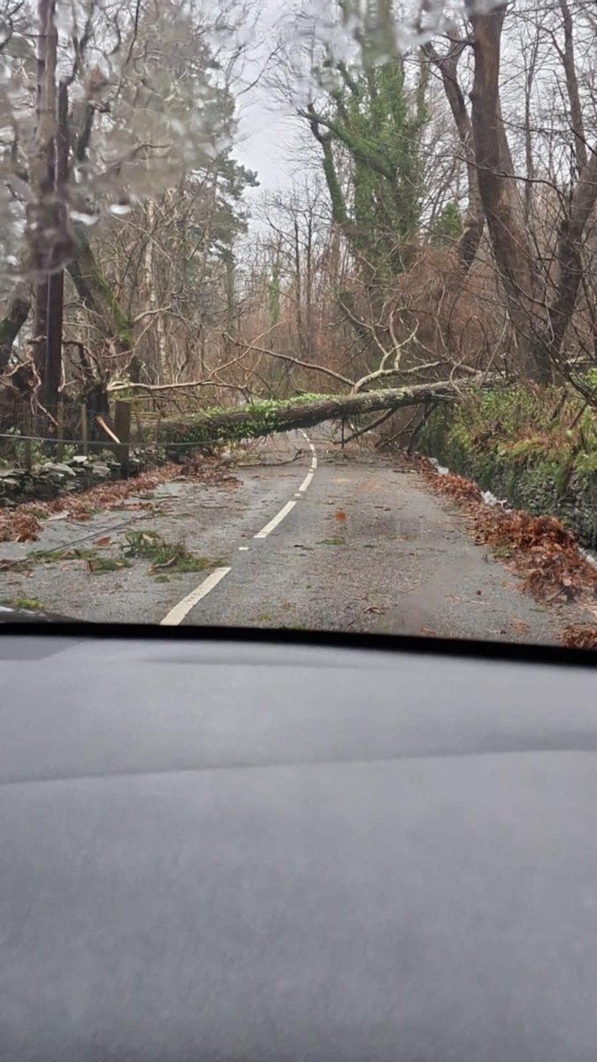 darren rhoades tweet media