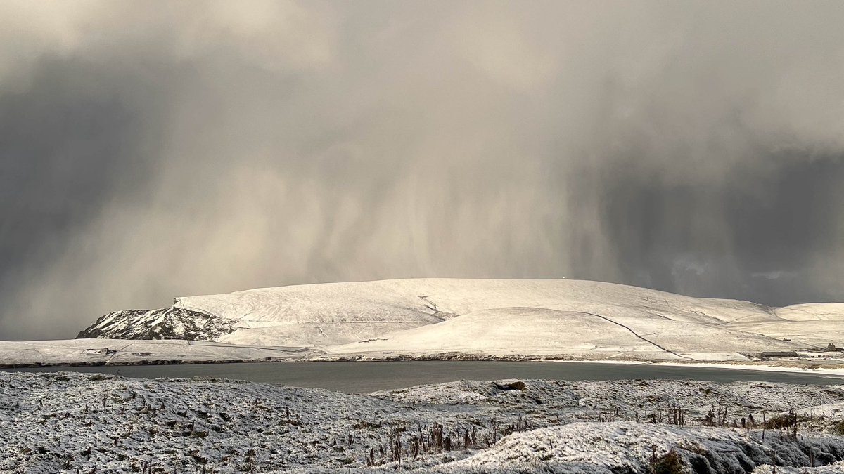 Ross Mackenzie tweet media