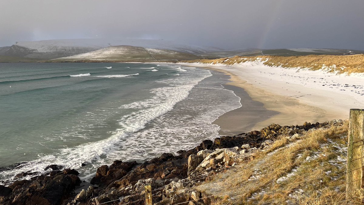 Ross Mackenzie tweet media