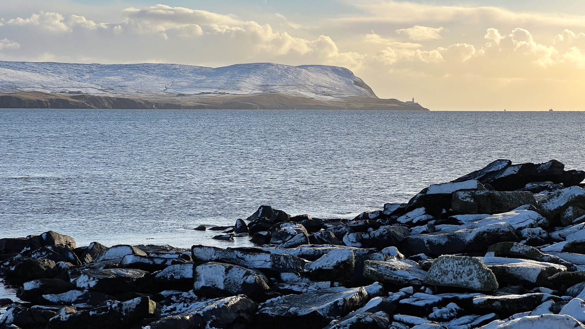 Ross Mackenzie tweet media