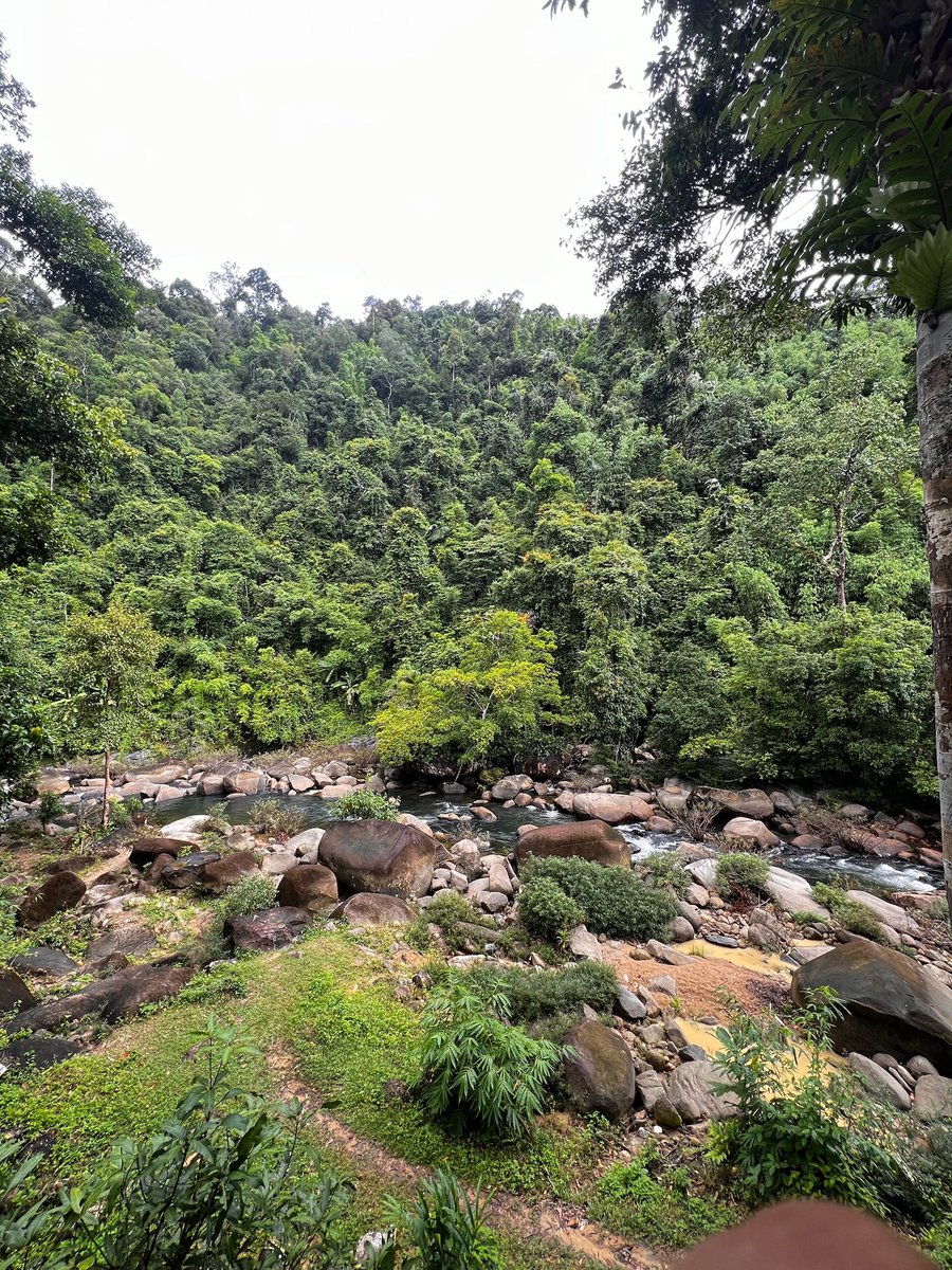 Emperor.SOL tweet media