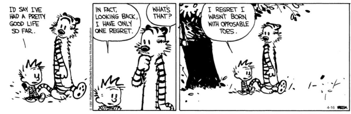 Agreed…😂 #CalvinandHobbes