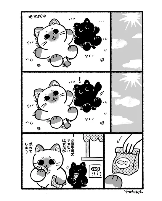 🐟 #ほがらかいぬねこ 