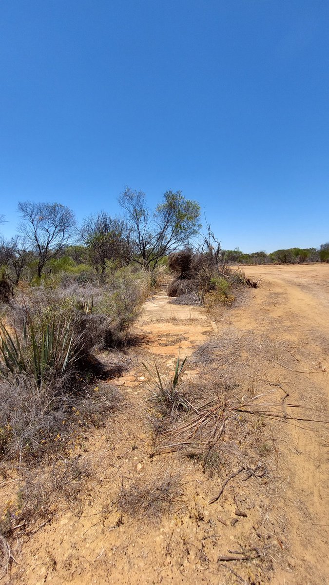 Carris Waite tweet media