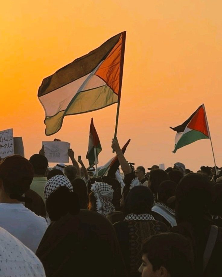 Bugün Özgür                 Yarın Özgür Filistin 
    Suriye