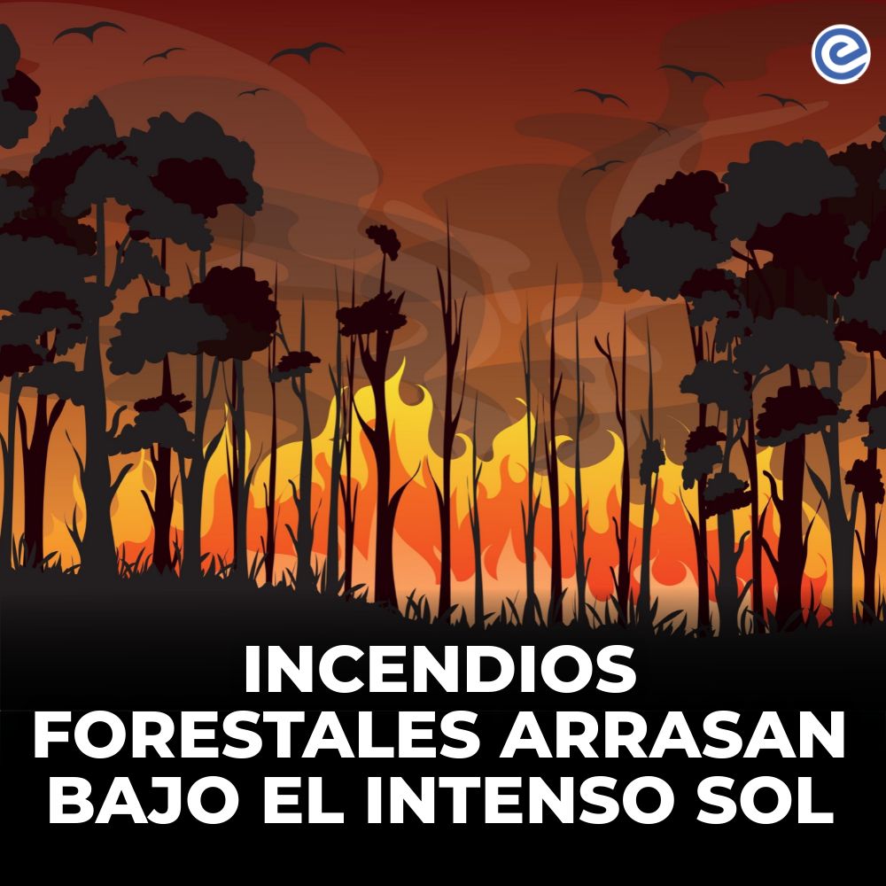 ecuadoraldia365's tweet photo. 🔵 Incendios arrasan bosques y el sol intenso destruye. ¿Sabías que el verbo "asolar" puede conjugar de forma regular o irregular? Descubre más sobre su significado en nuestra nota. #Incendios #Sol #Asolar
Conoce más 👉https://t.co/4dWXNOl6ov https://t.co/qCSOBd8yPE