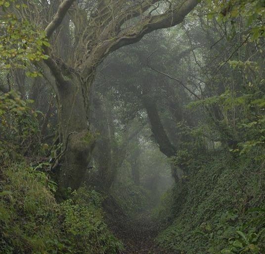 𓍊˖ ࣪⊹ (@goblinc0re) on Twitter photo 