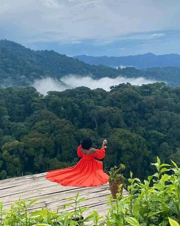 Amber Ray 🦋❤🇰🇪 tweet media