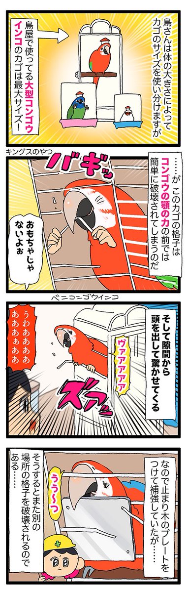 大型コンゴウインコちゃん、鳥カゴすら破壊する🤯💥

1990 #えるポピの絵日記かくところ 