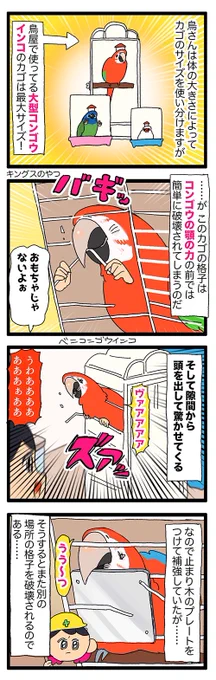 大型コンゴウインコちゃん、鳥カゴすら破壊する🤯💥

1990 #えるポピの絵日記かくところ 