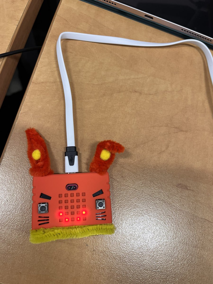 Our micro bit micro pets had a lot to say about themselves- cross curricular tasks with wonderful primary PGCE <a href="/UniRdg_IoE/">IoE Uni of Reading</a>