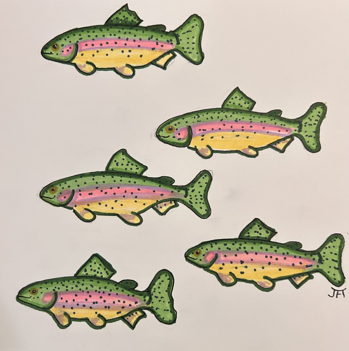 Rainbow Trout (Oncorhynchus mykiss) is my guess for this week’s #25DaysOfFishmas X #SundayFishSketch crossover event.