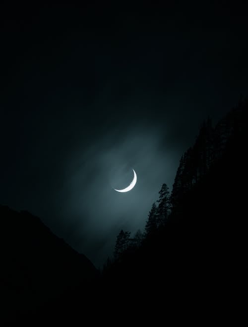I pray that Allah Almighty grants you all peace of mind, physical health and countless blessings.🕋🌃🌆
𝖌𝖔𝖔𝖉 𝖓𝖎𝖌𝖍𝖙