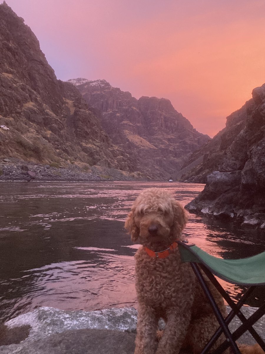 Good Morning Web3!!!!

Happy Sunday Funday 🥰

What are you all thankful for today?