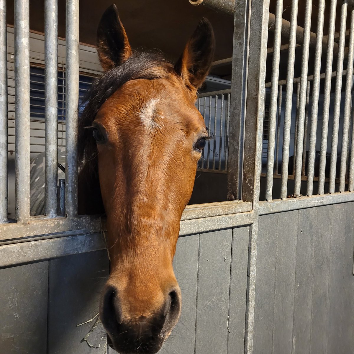 FalinHanna's tweet image. #stonecapeszack #ihanparas #varsa